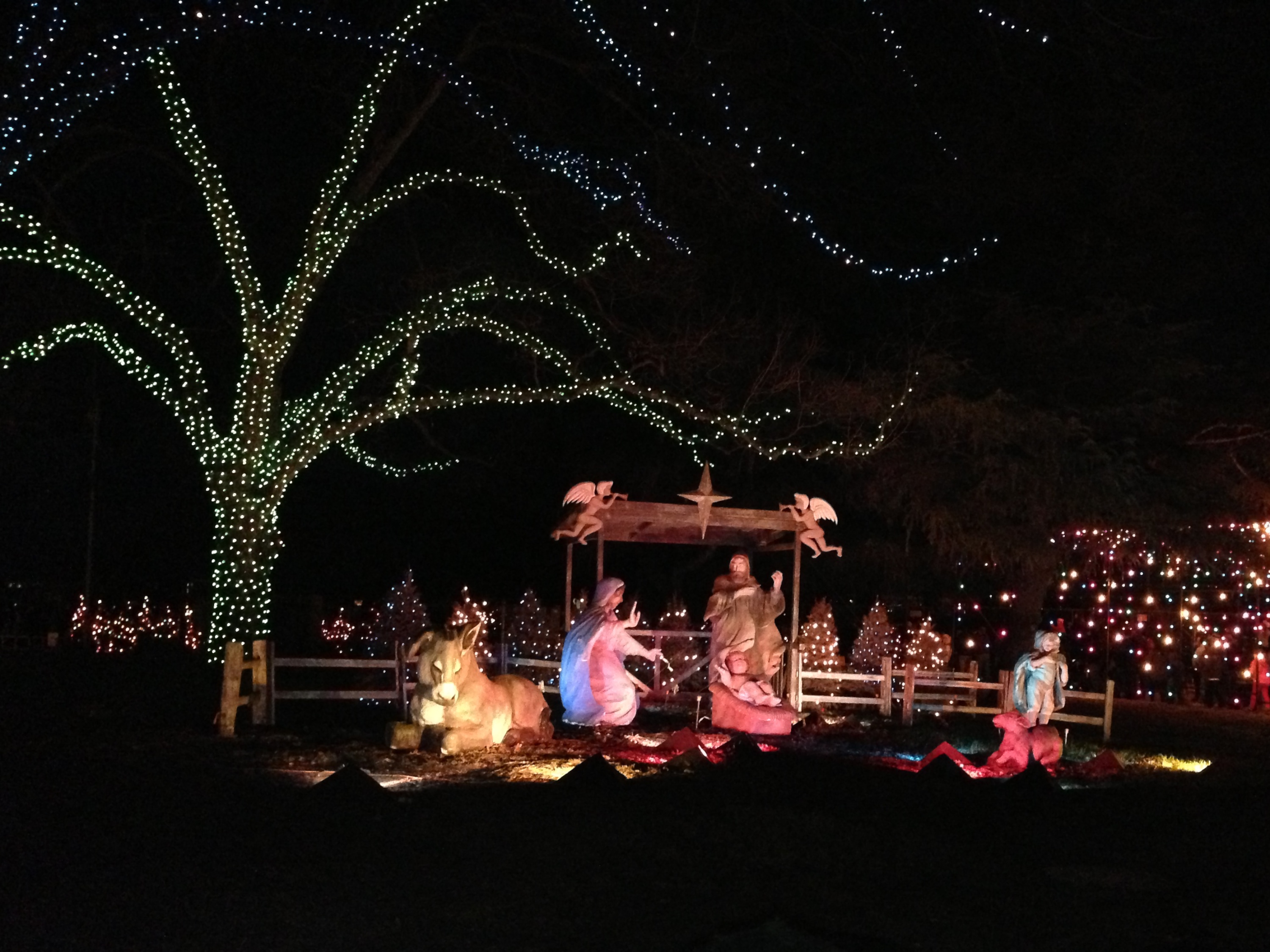 2012-12-21 18 Trail of Lights.jpg